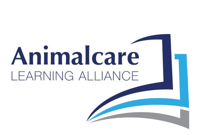 Animalcare has launched four CPD webinars for veterinary surgeons on The Webinar Vet.