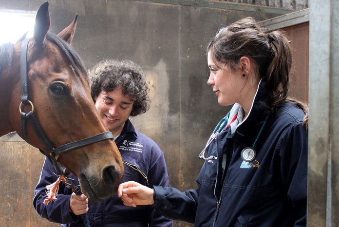 The BEVA has announced that from today, it is dropping membership renewal charges for all veterinary surgeons for the next three months to help support you during the COVID-19 crisis.