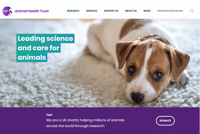 Animal Health Trust set to close VetNurse News Site