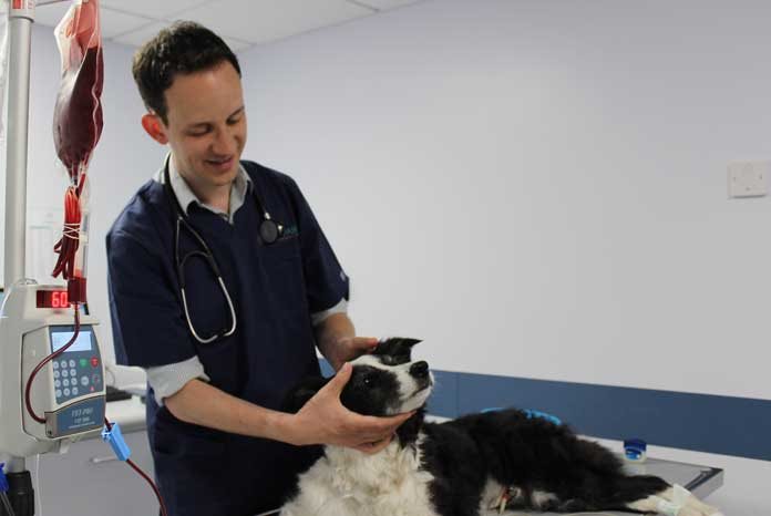 Adam Mugford, BVetMed MVetMed DACVECC MRCVS, a RCVS Recognised Specialist in Emergency and Critical Care and Diplomate of the American College of Veterinary Emergency and Critical Care (ECC), has joined Lumbry Park Veterinary Specialists in Alton, Hampshire.