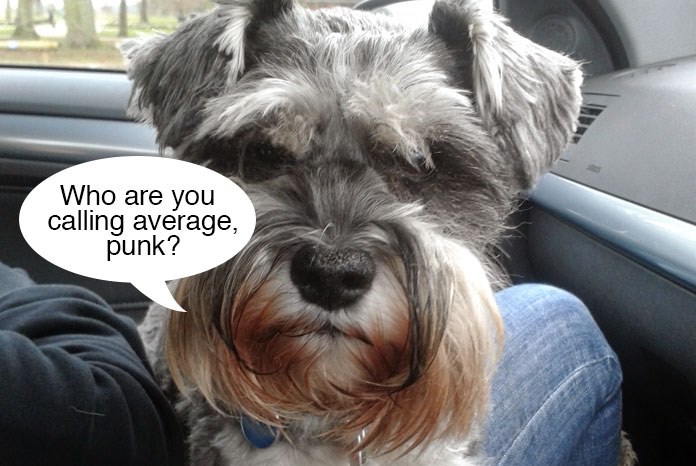 Research published by the Royal Veterinary College in Canine Genetics and Epidemiology has found that the Miniature Schnauzer is one of the most average dog breeds in the UK1,