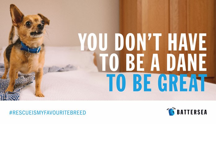 Battersea has launched a new campaign, 'Rescue is Our Favourite Breed',