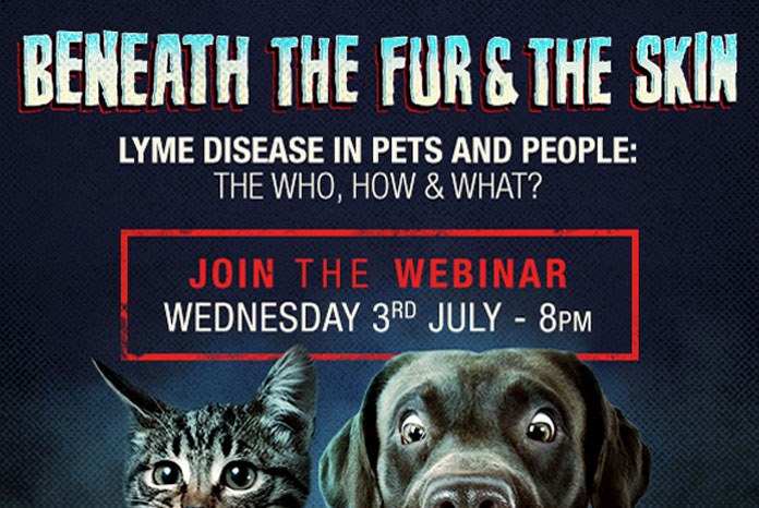 Zoetis is holding a free webinar to share the latest thinking about Lyme disease on Wednesday 3rd July at 8:00pm.