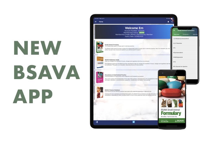 The BSAVA has launched a new app to give members easy access to the information they need for daily practice.