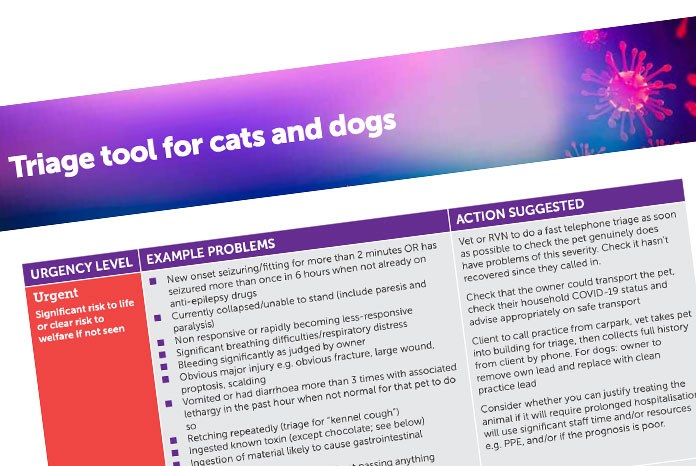 The BSAVA has produced a triage tool designed to help staff in small animal practice identify and process emergency canine and feline cases during the coronavirus pandemic.