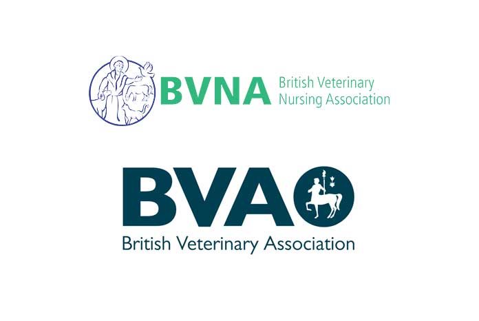 The British Veterinary Association and the British Veterinary Nursing Association have announced a new strategic alliance designed to strengthen the working relationship between the two associations whilst maintaining their individual identities.