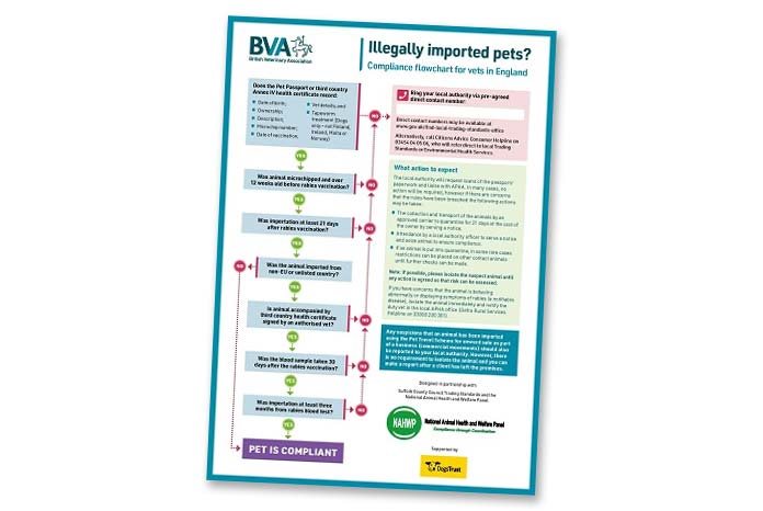 The BVA has launched a flowchart designed to help veterinary surgeons in England know when and how to report suspected cases of illegal pet imports to relevant authorities.