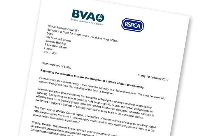 The BVA has joined forces with the RSPCA in calling on the Government to repeal a legal exemption that permits animals to be slaughtered without pre-stunning, causing unnecessary pain and suffering.
