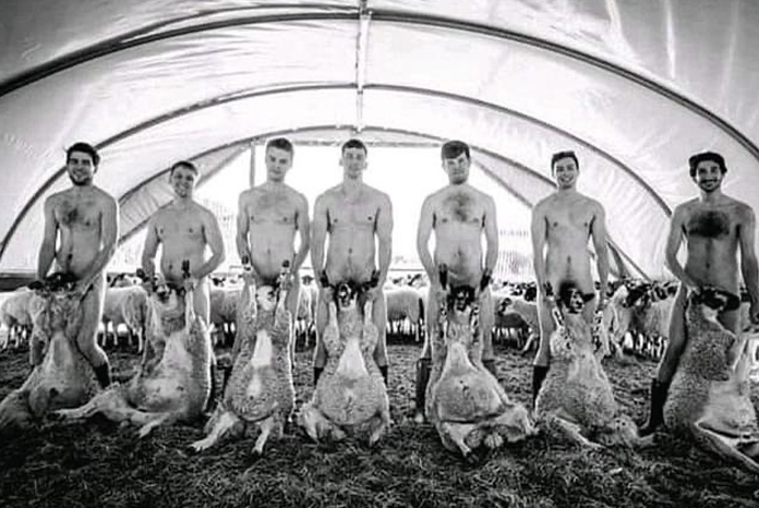 The Royal Veterinary College Principal, Stuart Reid has become embroiled in a row over its students' annual charity calendar, after a veterinary vegan group complained about the month that showed veterinary students handling sheep.