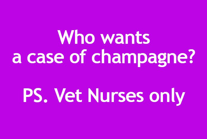 VetNurse.co.uk has launched a new survey of vet nurses designed to identify the strengths and weaknesses of social media as a professional tool, and what more could be done to help the profession collaborate more effectively.