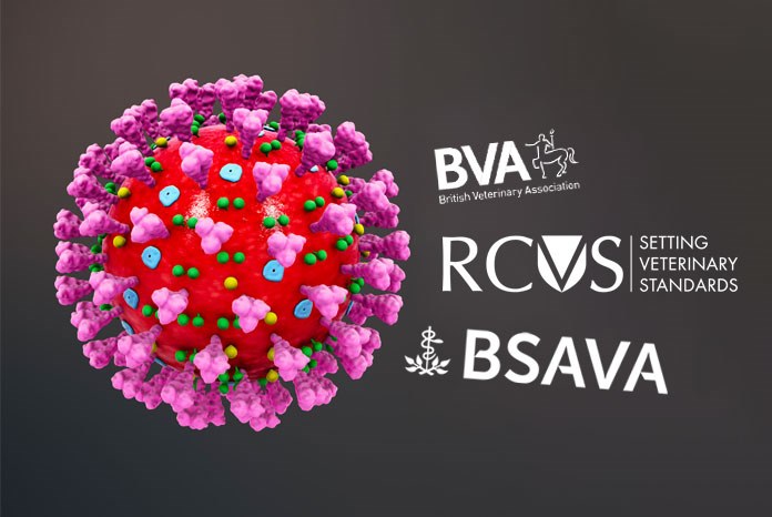 A joint statement issued by the RCVS and the BVA with updated guidance for the professions about working during the coronavirus pandemic has led to an outcry on social media and highlighted flaws in the structure of the veterinary profession. 