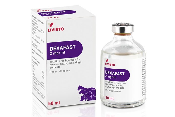 Forte Healthcare has launched Dexafast 2mg/ml, a dexamethasone solution for injection for horses, cattle, pigs, dogs and cats.