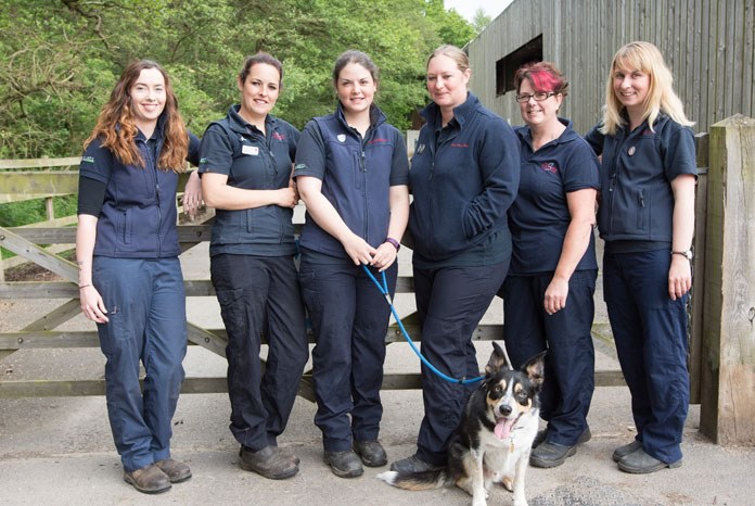 Equine veterinary nurses at Scarsdale Markeaton.