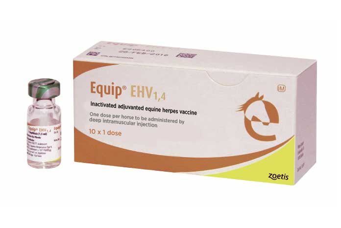 Zoetis has announced that its Equip EHV 1,4 vaccine is now available and that it has made arrangements to supply an alternative rotavirus vaccine when Equip Rotavirus goes out of stock later this month.