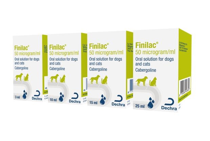 Dechra Veterinary Products has launched Finilac for the treatment of false pregnancy in bitches.