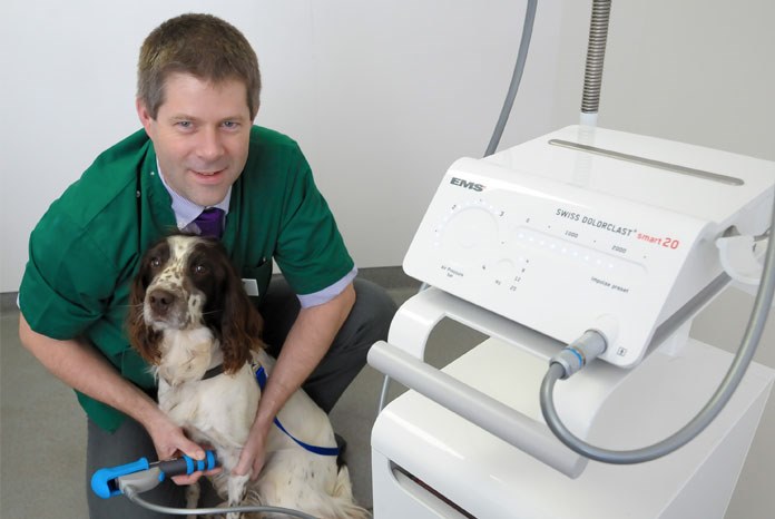Solihull-based Willows Veterinary Centre is now offering shockwave therapy, a novel treatment for dogs suffering from musculoskeletal injuries and osteoarthritis.