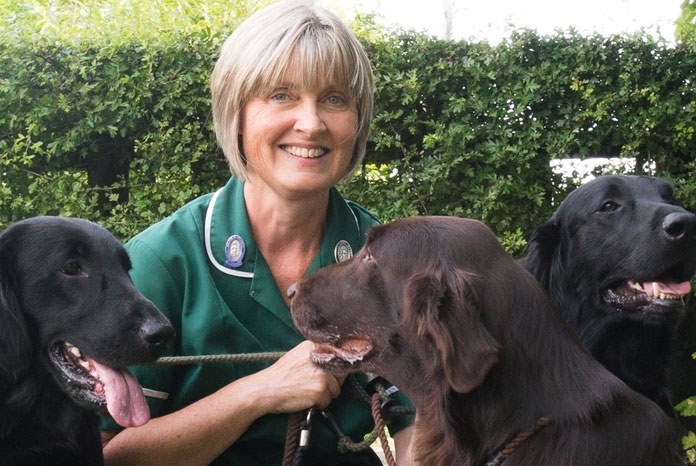 Liz Branscombe DipAVN (Surgical) RVN from Davies Veterinary Specialists