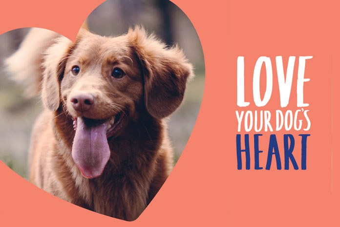 Boehringer Ingelheim has launched 'Love Your Dog's Heart', a campaign designed to help veterinary practices communicate important messages about canine heart disease to clients. 