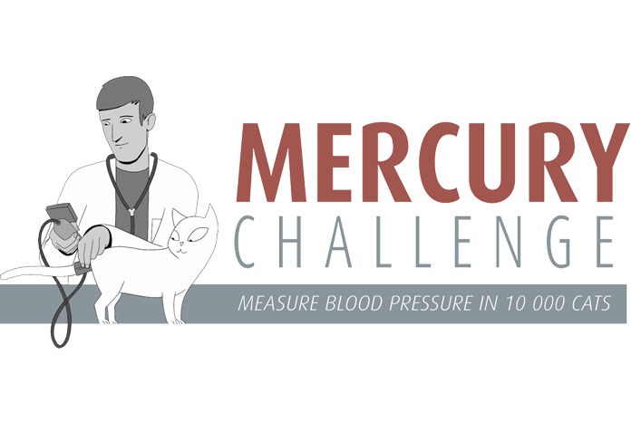 Veterinary nurses are being asked to take blood pressure readings from cats over seven years of age and submit them to The Mercury Challenge, Europe's largest study into feline hypertension.