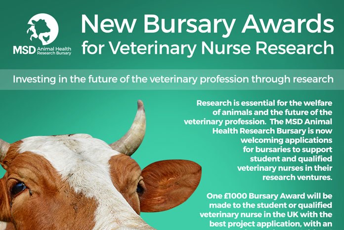 MSD Animal Health has announced the launch of its first veterinary nurse research bursary