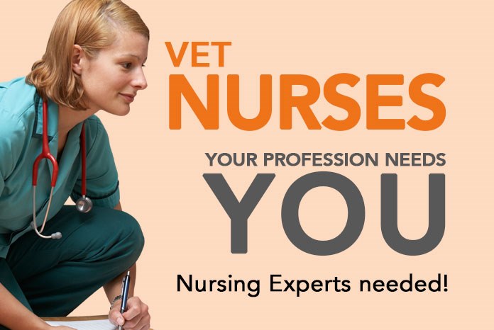 VetNurse.co.uk will shortly be undergoing one of its biggest upgrades since it was first launched in 2020, as part of which, we're now looking for experts in various fields of veterinary nursing to become VetNurse Experts. 