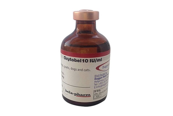 Bela-Pharm GmbH & Co.KG has issued a recall of a single batch of Oxytobel 10 IU/ml Solution for Injection for Horses, Cattle, Pigs, Sheep, Goats, Dogs and Cats (Vm 41816/4000).