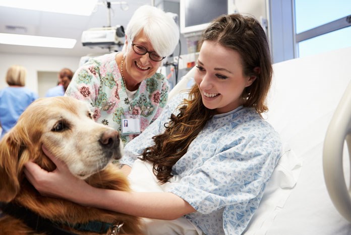 The Royal College of Nursing (RCN) has launched Working with dogs in health care settings, the first ever nationwide protocol for animals in health care, in order to encourage more hospitals to explore animal therapy.