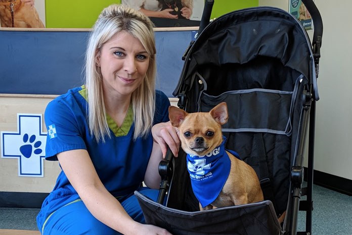 White Cross Vets, the 18-practice group headquartered in Leeds, has introduced 'peternity leave', through which all its 220 staff are entitled to two paid days off work when they get a cat, dog or rabbit, to help them settle the animal in its new home.