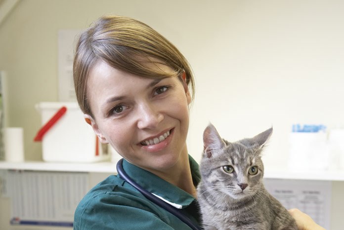 Petplan has launched a competition to find a registered veterinary nurse to star in a series of online videos offering top tips for pet owners on the company's social media channels.