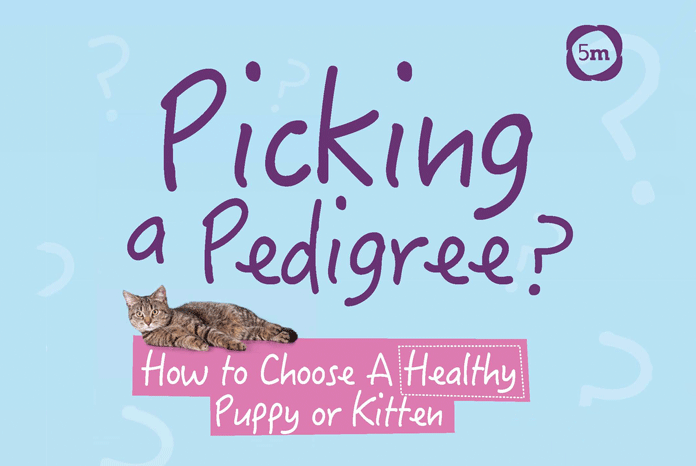 Emma Milne MRCVS, the erstwhile TV vet turned author and welfare campaigner has published Picking a Pedigree? a new book written to help people buy healthy cats and dogs and avoid the health problems and associated veterinary bills associated with certain breeds.