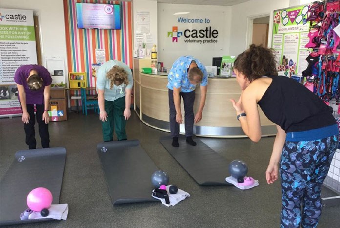 Veterinary nurse and ex practice owner Kate Bartels has launched Practice Pilates, offering pilates sessions for veterinary teams, to help both their physical and mental wellbeing. 