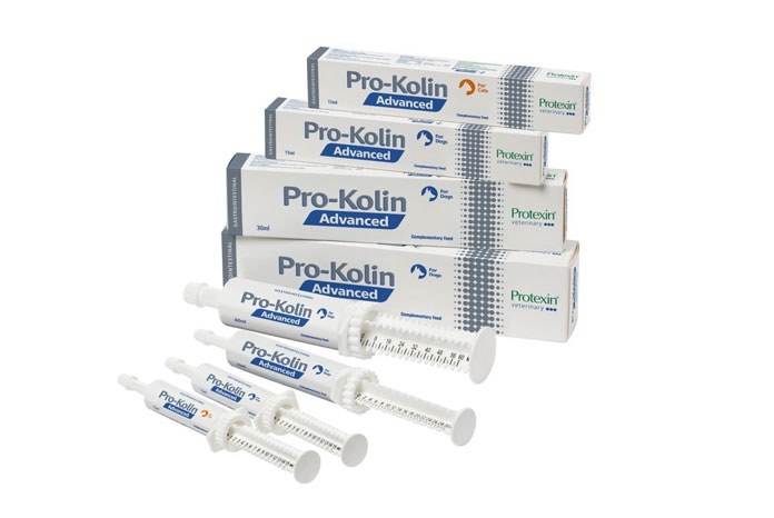 Protexin Veterinary has launched Pro-Kolin Advanced, a new gastrointestinal support product for dogs and cats. 