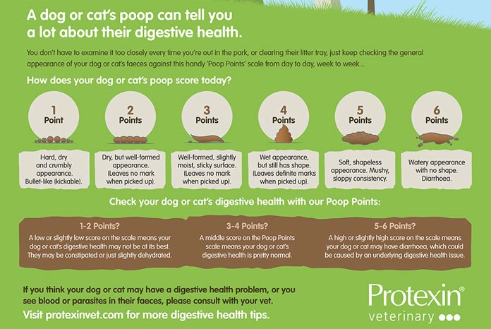 Protexin Veterinary has launched Poop Points, a free practice poster
