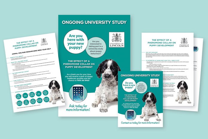 The University of Lincoln and Ceva Animal Health are asking vets to help recruit puppies and their owners for a study into puppy behaviour and the effect of a pheromone collar on puppy development.
