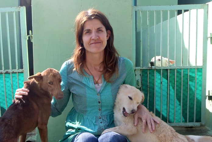 Tree of Life For Animals, a charity set up by veterinary nurse Rachel Wright, has been announced as one of five finalists for this year's Animal Star Awards.