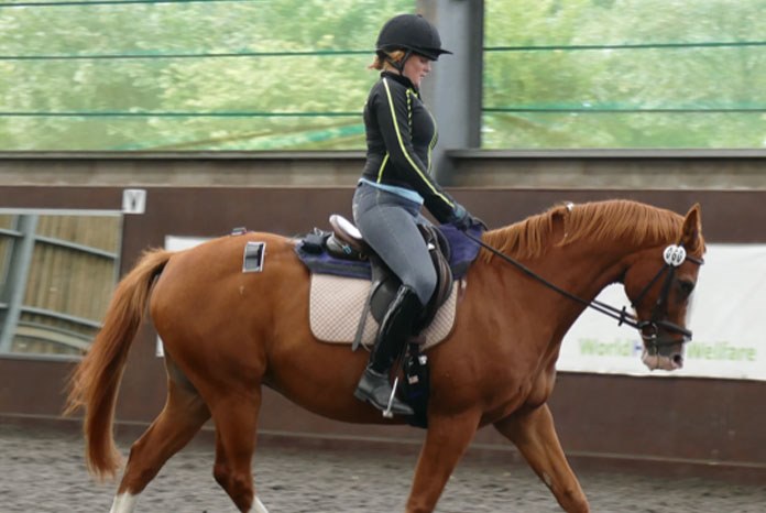 A new pilot study on the effects of rider weight on equine performance, presented at the National Equine Forum this week, has shown that high rider: horse bodyweight ratios can induce temporary lameness and discomfort.