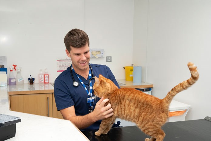The RSPCA has thanked the veterinary profession for its support as the charity endeavours to maintain an emergency-only service to animals through the coronavirus crisis.