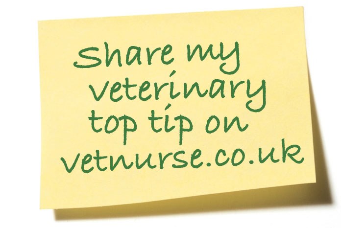 VetNurse.co.uk has launched a competition in which the veterinary nurses who submit the best professional 'top tips': those that could make life easier, quicker, better or happier for a colleague in the profession, will win a £50 Amazon voucher.