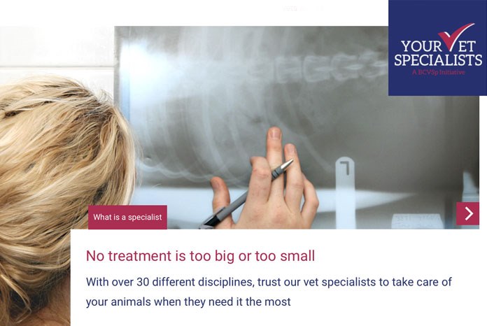 The British College of Veterinary Specialists (BCVSp) has launched a new website, www.yourvetspecialist.org to promote the services of RCVS and European Veterinary Specialists to the pet-owning public.