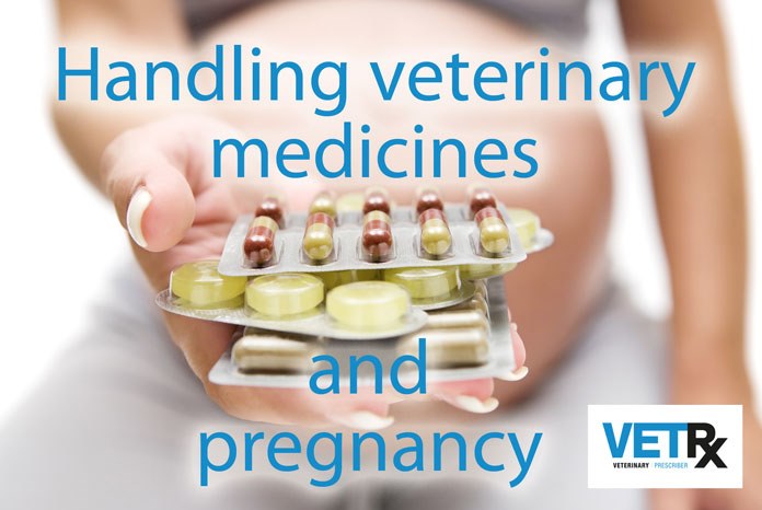 Veterinary Prescriber has launched a new online training module which explains the risks to pregnancy from handling veterinary medicines.