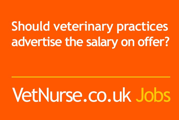 VetNurse.co.uk is conducting a survey for veterinary nurses, veterinary nursing assistants and students to discover whether, when searching for a job, you would like to see salaries and benefits advertised in job adverts.