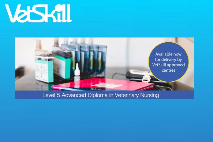 VetSkill has announced the launch of three skills-based Level 5 Advanced Diplomas in Veterinary Nursing: Medical, Surgical and Practice Nursing.