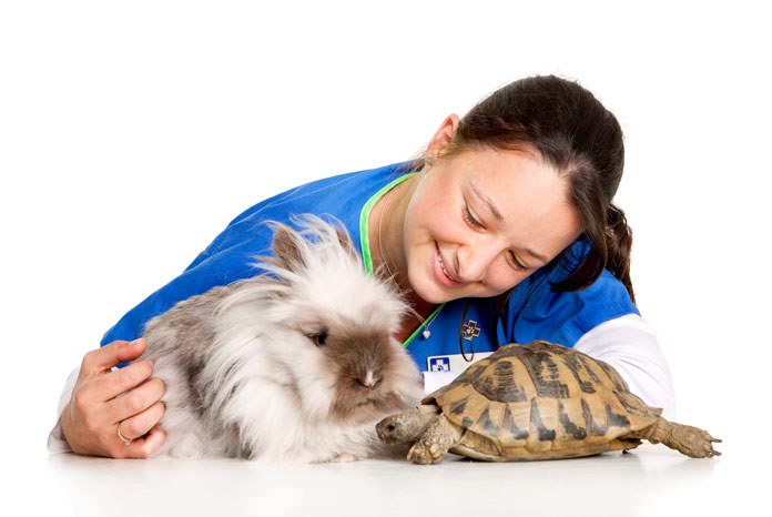 Jess Thomas, a veterinary nurse from White Cross Vets in Kings Heath, Birmingham, has now visited over 1000 schoolchildren in the area to teach them about good pet care.