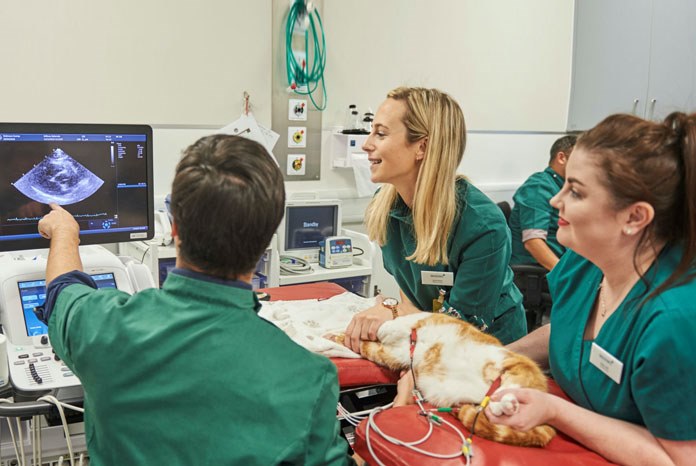 Willows Veterinary Centre and Referral Service, in Solihull, has launched the UK’s first congenital heart disease referral clinic for puppies and kittens.