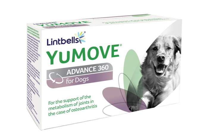 Lintbells has launched YuMOVE ADVANCE 360, a vet-exclusive natural joint supplement for the support of the metabolism of joints in the case of osteoarthritis in cats and dogs.