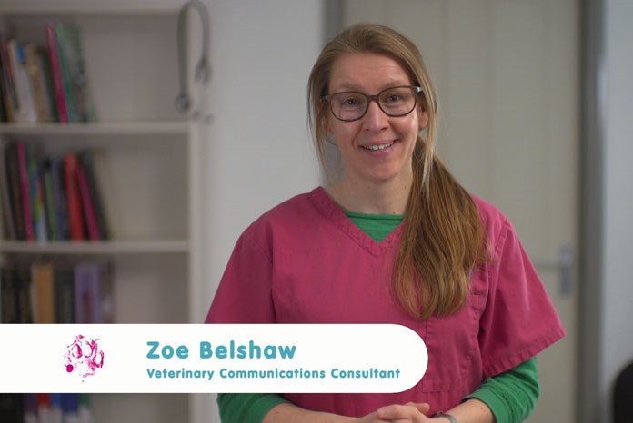 Elanco Animal Health, maker of Onsior, has created a new film in collaboration with Zoe Belshaw, an RCVS and European recognised internal medicine specialist, which offers tips to help engage owners on the subject of OA in their pet.