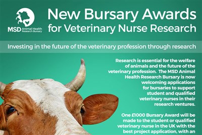 Vet Nurses Invited To Apply For Msd Research Bursary Vetnurse