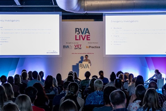 BVA Live to focus on contextualised care