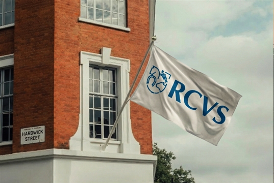 Vet reprimanded after drink-driving conviction