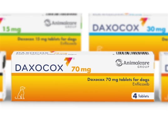 Daxocox gains UK perioperative licence for canine surgery